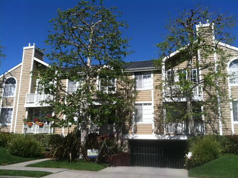 Apartment for rent