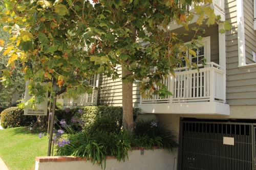 Apartment in Los Angeles