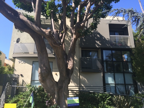 Apartment in Santa Monica