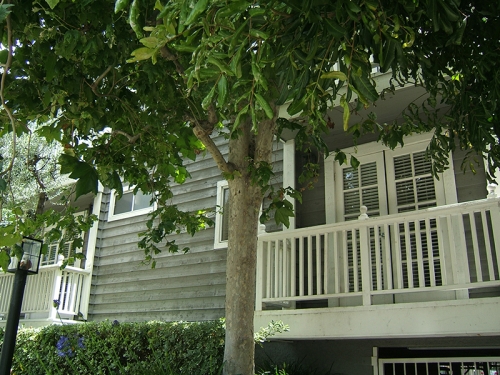 Apartment in Los Angeles