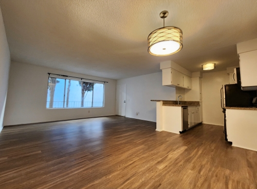 Apartment in Santa Monica