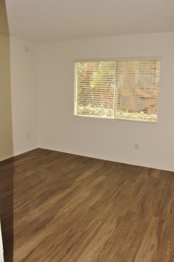 Apartment in Los Angeles