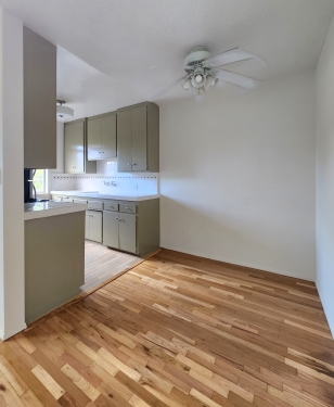 Apartment in Santa Monica