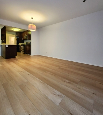 Apartment in Santa Monica