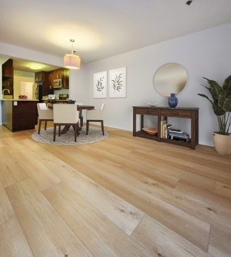 Apartment in Santa Monica