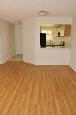 Apartment in Santa Monica