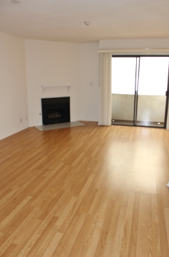 Apartment in Santa Monica