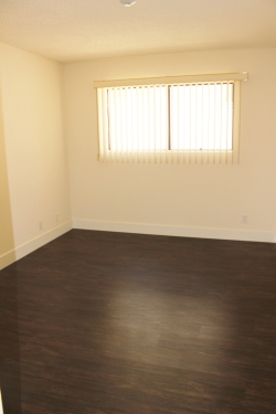 Apartment in Santa Monica
