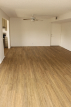 Apartment in Santa Monica