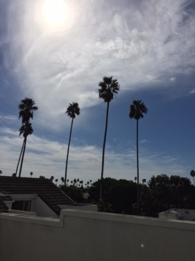 Apartment in Santa Monica